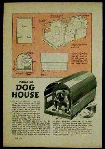 Casa del cane coibentata - casa,