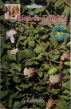 Semi di Cappero buste