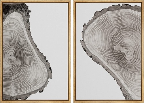 Albero anello annuale wall - anello, art