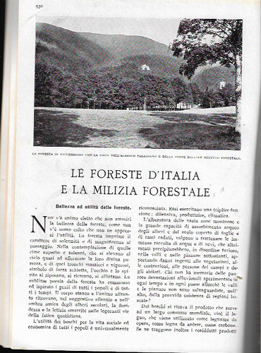 Foreste italia e - le, d'italia