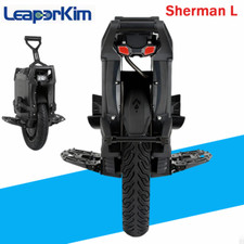 Monociclo elettrico 20 pollici