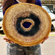 Esemplari di fetta fossile di legno naturale 6,94 libbre guarigione Reiki - Madagascar