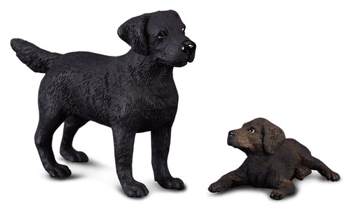 Black labrador retriever dog - retriever,