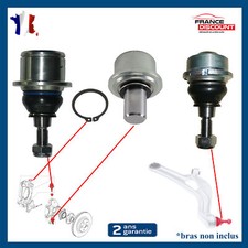 Rotule Inférieure Supérieure