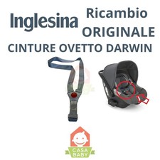 Cinture Ovetto Darwin