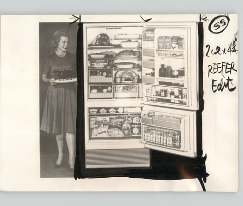 Domestic kitchen for - domestic,