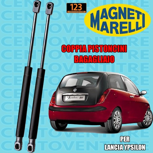 Molle gas pistoncini cofano - pistoncini,