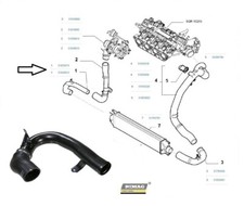 51838612 manicotto intercooler - 51838612,