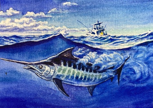 Quadro acquerello marlin pesca - acquerello,