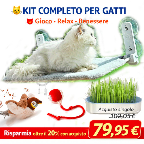 Kit gatti gioco - kit, “gioco,