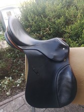 Passier Young Winner, 16