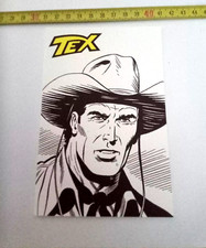 Tex Willer Danubio fumetto cartolina numerata godega NO strisce gioco gadget