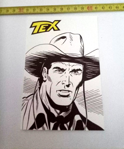 Tex willer danubio - danubio, fumetto