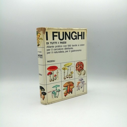Funghi tutti i paesi - funghi,