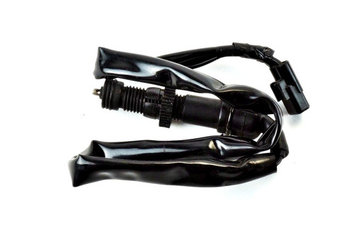 Honda hornet 600 - hornet,