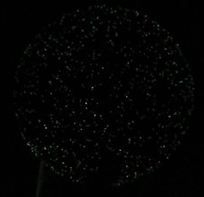 Discraft GLO Sparkle Cicada