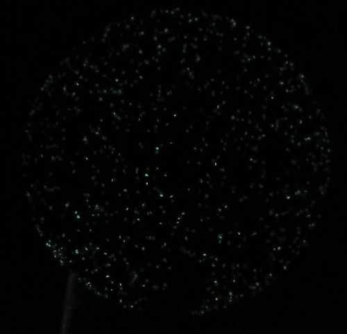Discraft glo sparkle cicada - sparkle,