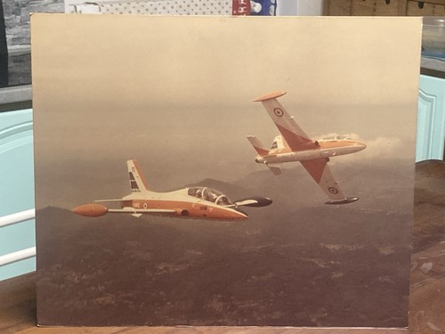 Aermacchi 339 official - 339,
