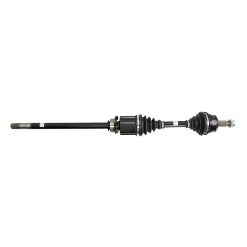 Point gear png72771 - point, albero