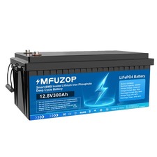 Batteria litio 12V 300Ah
