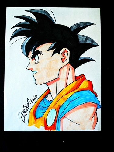 Dragon ball goku ryan - ball, z