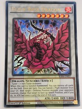Drago Rosa Nera / Black Rose