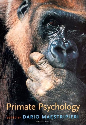 Primate psychology - primate,