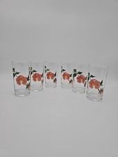 ROSA DEL DESERTO francescana