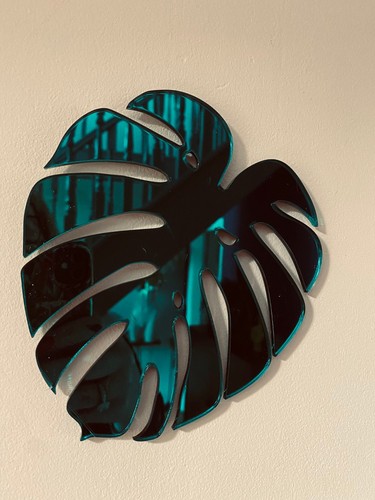 Grande foglia monstera - foglia, di