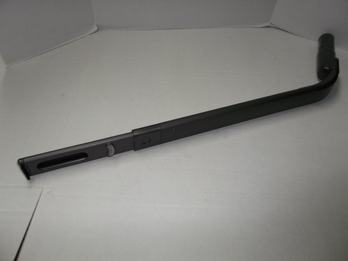 Squalo aspiratore lungo - squalo,
