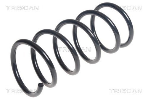 Molla sospensione triscan - sospensione,