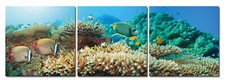 Quadro set 3 pezzi mondo