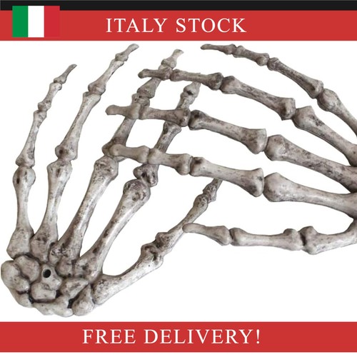 Xonor mani scheletro di - di,