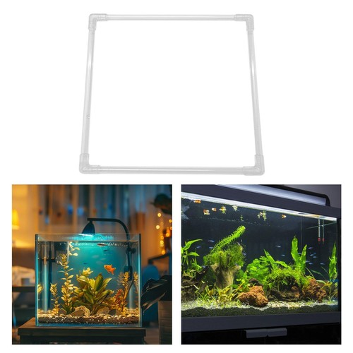 Acquario pianta galleggiante - pianta,