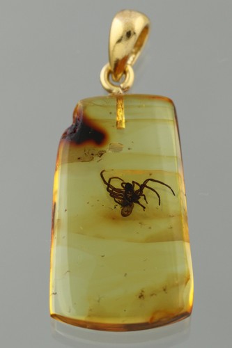Ciondolo fossil spider - ciondolo,