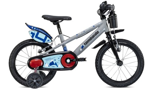 Bici bicicletta mountabike - bicicletta, da