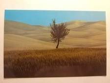 Modena - Franco Fontana