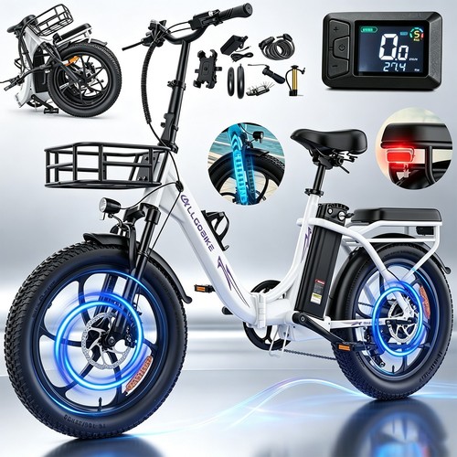 Bicicletta elettrica