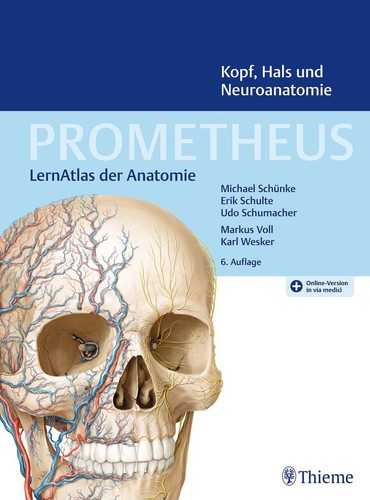 Prometheus kopf hals und - prometheus, kopf,