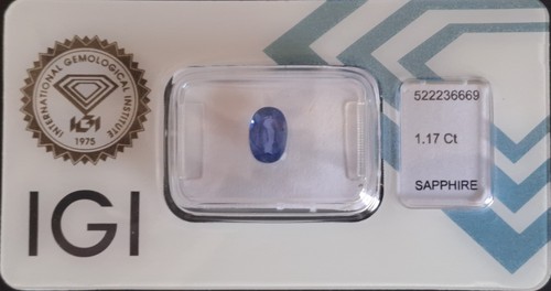 Zaffiro blu ct - blu,