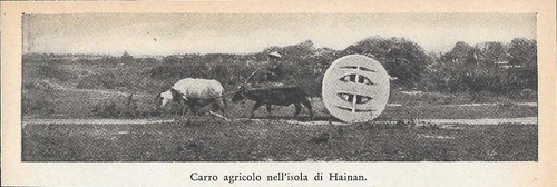 Carro agricolo nell isola - agricolo, nell'isola