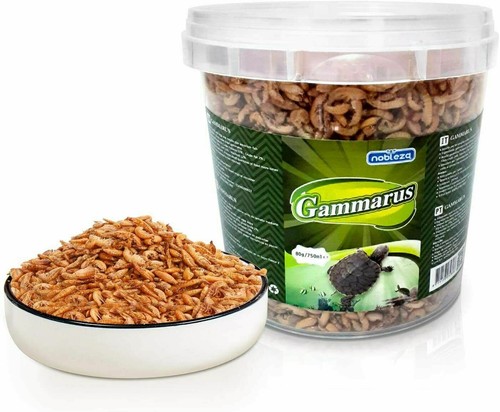 Mangime alimento cibo - mangime,