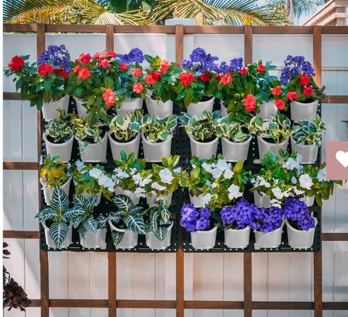 Watex giardinaggio parete - giardinaggio,