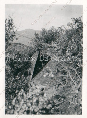 Ww2 campagna grecia tenda - ww2,