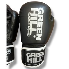 Guantoni Lion Green Hill 10oz pelle guanti boxe pugilato usati