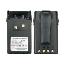 Batteria 1700/2600mAh e clip