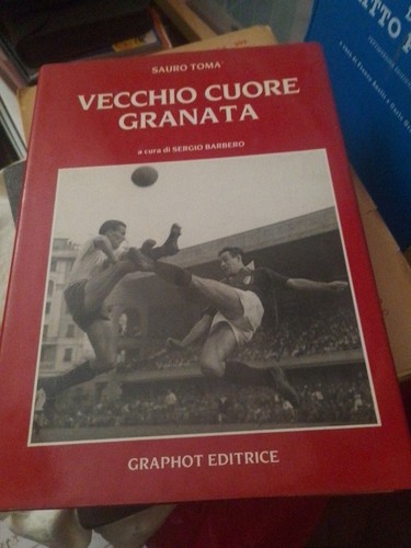 Sauro toma vecchio cuore - sauro,