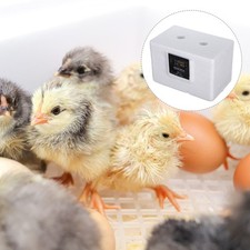  Incubatrice per uova per pollo: schiusa semiautomatica pollame fattoria - oca