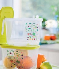 * Contenitore frigorifero