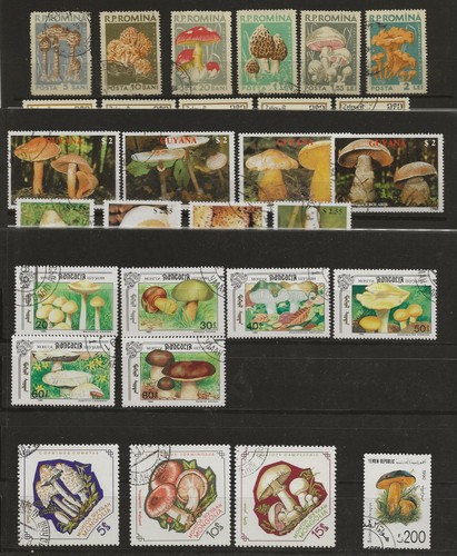 Funghi francobolli - funghi,,